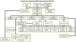 Структура управления МБОУ Краснообская СОШ №1